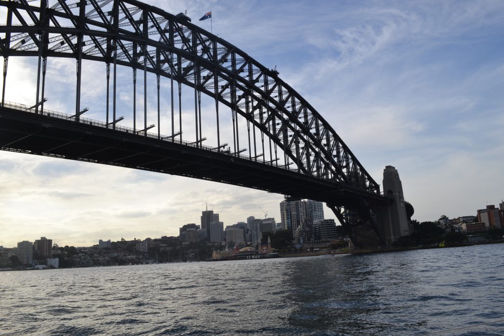 Cruise under Sydney Harbour Bridge on Rockfish