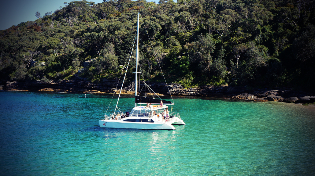 rockfish catamarans